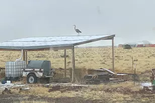 28465 Ringtail Rd, Flagstaff, AZ 86004 - Photo 56