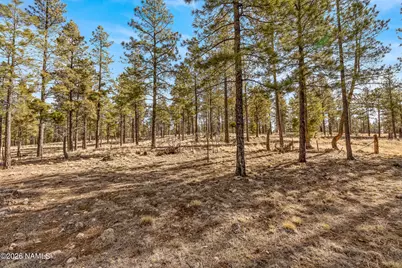 3430 S Del Aire Court, Flagstaff, AZ 86005 - Photo 12