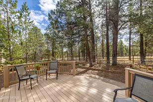 6161 E Olson Dr, Flagstaff, AZ 86004 - Photo 30