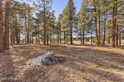 65 S Ansley Lane, Parks, AZ 86018 - Photo 4