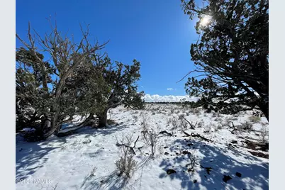 5741 S Lariat Road, Williams, AZ 86046 - Photo 2