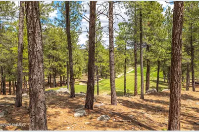 2832 Andrew Douglass, Flagstaff, AZ 86005 - Photo 8