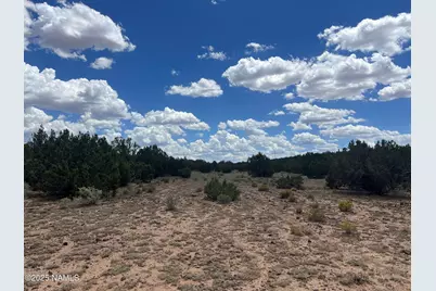 3472 Whitetail Loop, Williams, AZ 86046 - Photo 12