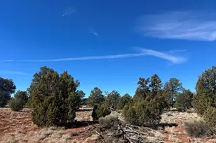 2816 S Spruce Rd, Williams, AZ 86046 - Photo 1