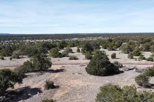 13537 Bly Sta Rd, Williams, AZ 86046 - Photo 1