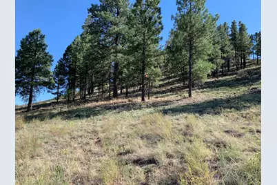 11668 N Rope Arabian Road #2, Flagstaff, AZ 86004 - Photo 2