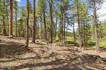 3456 Laurie Lane #9, Flagstaff, AZ 86005 - Photo 26