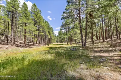 3456 Laurie Lane #9, Flagstaff, AZ 86005 - Photo 12