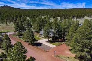 902 Fulton Spgs Dr, Mormon Lake, AZ 86038 - Photo 8