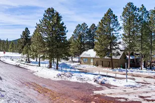 902 Fulton Spgs Dr, Mormon Lake, AZ 86038 - Photo 4