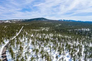 902 Fulton Spgs Dr, Mormon Lake, AZ 86038 - Photo 88