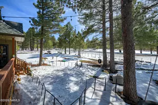 902 Fulton Spgs Dr, Mormon Lake, AZ 86038 - Photo 64