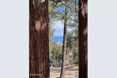 3215 Granite, Flagstaff, AZ 86001 - Photo 4