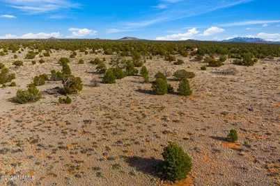 812 N Kaibab Road, Williams, AZ 86046 - Photo 6
