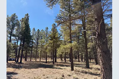 3210 W Northwood Court, Williams, AZ 86046 - Photo 8