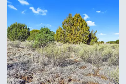 908 E Hoctor Road, Williams, AZ 86046 - Photo 4