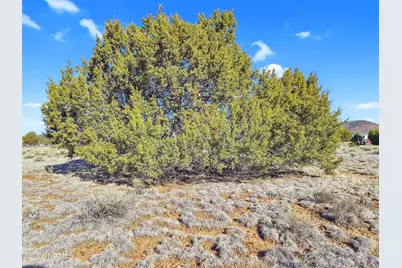 908 E Hoctor Road, Williams, AZ 86046 - Photo 8