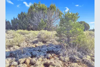 908 E Hoctor Road, Williams, AZ 86046 - Photo 6