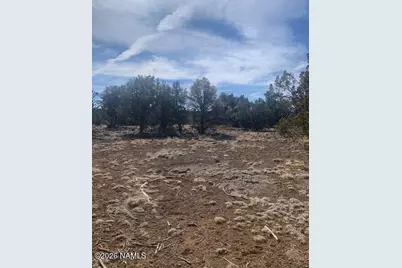 782 E Little Horse Road, Williams, AZ 86046 - Photo 8