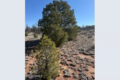 5752 N Hidden Ranch Road, Williams, AZ 86046 - Photo 16