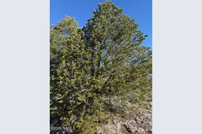 5752 N Hidden Ranch Road, Williams, AZ 86046 - Photo 8