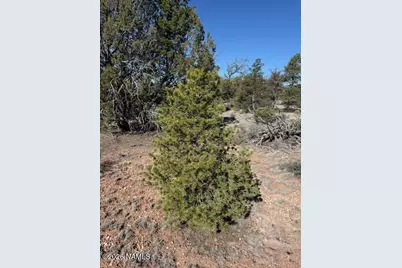 5752 N Hidden Ranch Road, Williams, AZ 86046 - Photo 1