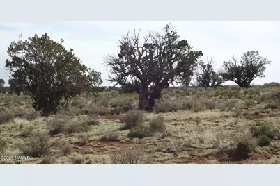 64 S Laguna Drive, Williams, AZ 86046 - Photo 2