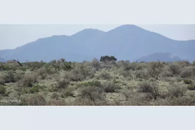 64 S Laguna Drive, Williams, AZ 86046 - Photo 6