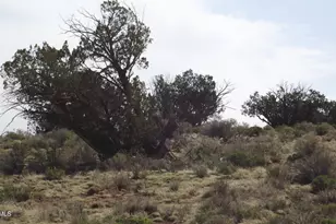 64 S Laguna Dr, Williams, AZ 86046 - Photo 1