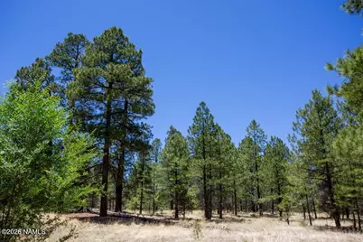 5330 E Nordica Loop, Flagstaff, AZ 86004 - Photo 2
