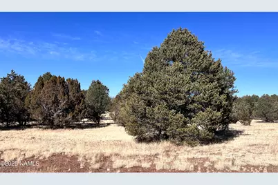 7223 Daisy Drive, Williams, AZ 86046 - Photo 4