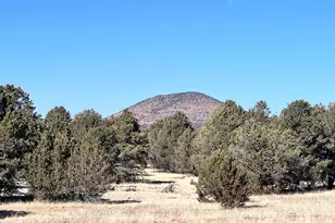 7223 Daisy Drive, Williams, AZ 86046 - Photo 1