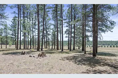 259 E Foxboro Road #7, Munds Park, AZ 86017 - Photo 2