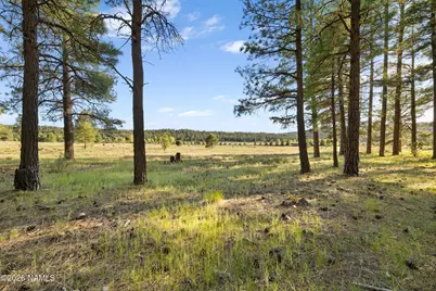 259 E Foxboro Road #7, Munds Park, AZ 86017 - Photo 36