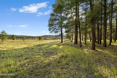 259 E Foxboro Road #7, Munds Park, AZ 86017 - Photo 34