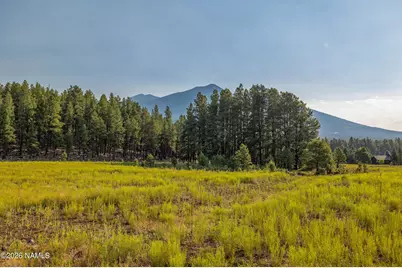 9217 Ranch At The Peaks Way, Flagstaff, AZ 86001 - Photo 12
