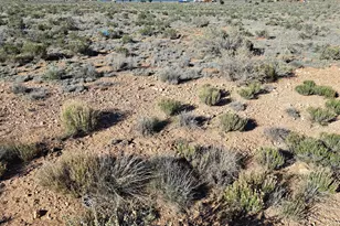 1129 E Waddell Rd, Williams, AZ 86046 - Photo 1