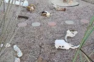 2595 W Lucy Ln, Kingman, AZ 86409 - Photo 40