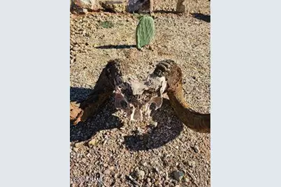 2595 W Lucy Lane, Kingman, AZ 86409 - Photo 38