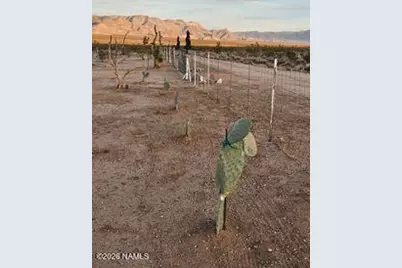 2595 W Lucy Lane, Kingman, AZ 86409 - Photo 4