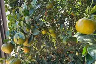 2595 W Lucy Ln, Kingman, AZ 86409 - Photo 32