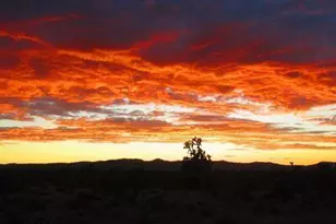 2595 W Lucy Ln, Kingman, AZ 86409 - Photo 36