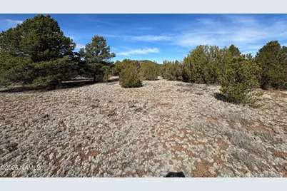 6598 N Isabella Street, Williams, AZ 86046 - Photo 2