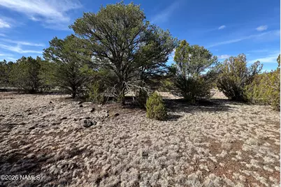 6598 N Isabella Street, Williams, AZ 86046 - Photo 8