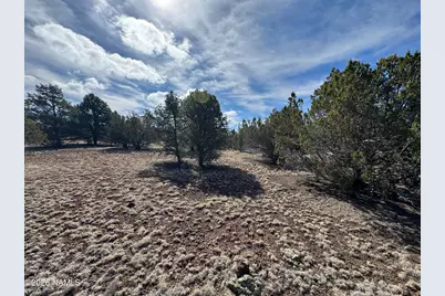 6598 N Isabella Street, Williams, AZ 86046 - Photo 6