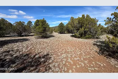 6598 N Isabella Street, Williams, AZ 86046 - Photo 4
