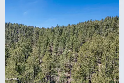 5216 Hidden Hollow Road, Flagstaff, AZ 86001 - Photo 10