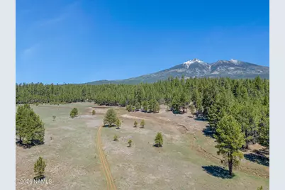 5216 Hidden Hollow Road, Flagstaff, AZ 86001 - Photo 6