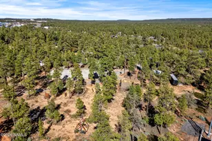 6385 W White Mountain Blvd, Lakeside, AZ 85929 - Photo 24