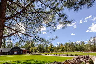 6385 W White Mountain Blvd, Lakeside, AZ 85929 - Photo 28